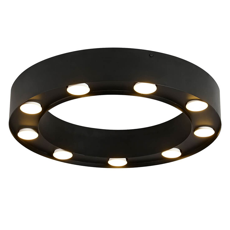 Потолочный светильник Dugan Ceiling Lamp 50 Черный Потолочный светильник Dugan Ceiling Lamp 50 Черный в Рязани | Loft Concept
