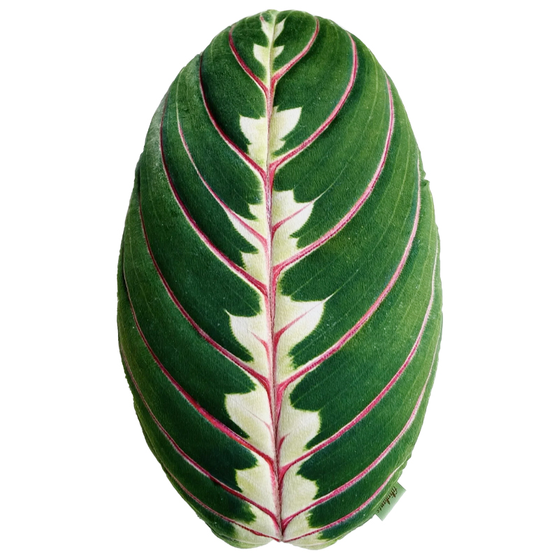 Декоративная подушка Botanical Cushion Maranta Trikolor Зеленый Бургундский красный в Рязани | Loft Concept 