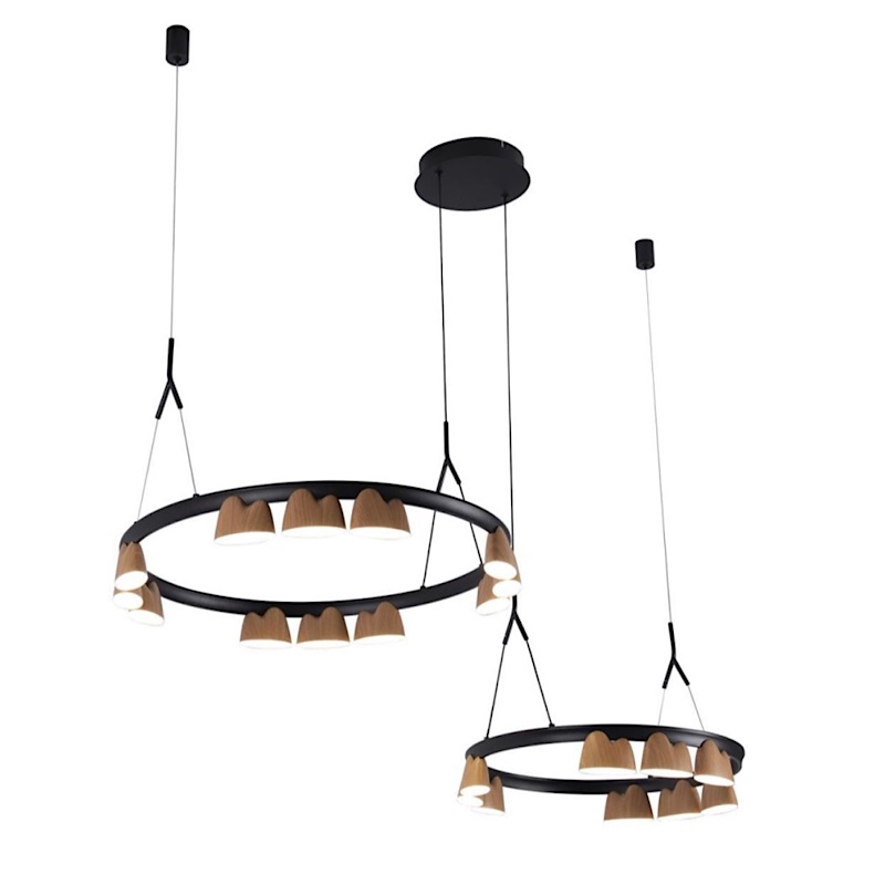 Люстра Wooden Eco Light  Черный матовый в Рязани | Loft Concept 