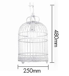 Подвесной светильник Bird Cage Подвесной светильник Bird Cage в Рязани