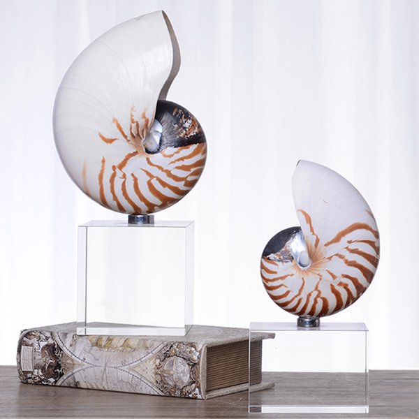 Декоративная статуэтка Shell Декоративная статуэтка Shell в Рязани | Loft Concept