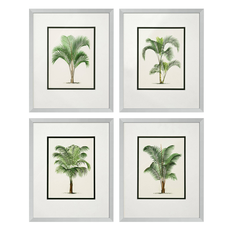 Комплект постеров Eichholtz Prints Palms set of 4 Белый Зеленый Серебряный Комплект постеров Eichholtz Prints Palms set of 4 Белый Зеленый Серебряный в Рязани | Loft Concept