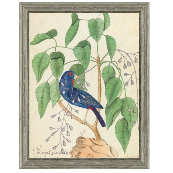 Постер Blue Bird In Foliage Постер Blue Bird In Foliage в Рязани | Loft Concept
