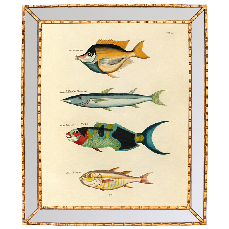 Постер в зеркальной раме Fish Guide 3 Мульти Золотой Постер в зеркальной раме Fish Guide 3 Мульти Золотой в Рязани | Loft Concept