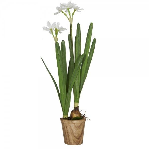 Декоративный искусственный цветок Daffodil Bulbs Белый Зеленый Декоративный искусственный цветок Daffodil Bulbs Белый Зеленый в Рязани | Loft Concept