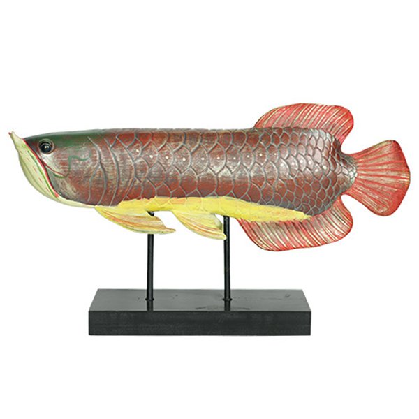 Аксессуар для интерьера рыба Colored Fish Аксессуар для интерьера рыба Colored Fish в Рязани | Loft Concept
