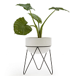 Кашпо Elevated Planters Luna 54 белое варинант исполнения - 2 | Loft Concept в Рязани