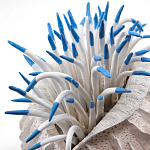 Статуэтка тропический фрукт Tropical Fruit White Blue варинант исполнения - 1 | Loft Concept в Рязани