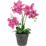 Декоративный искусственное растение Pink orchid варинант исполнения - 1 | Loft Concept в Рязани