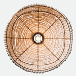 Подвесной светильник в виде купола декорированный белыми деревянными бусинами White Wooden Beads Hanging Lamp варинант исполнения - 4 | Loft Concept в Рязани