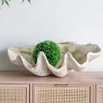 Блюдо декоративное в виде ракушки Seashell варинант исполнения - 3 | Loft Concept в Рязани