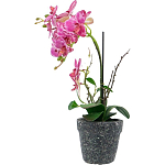 Декоративный искусственное растение Pink orchid варинант исполнения - 4 | Loft Concept в Рязани