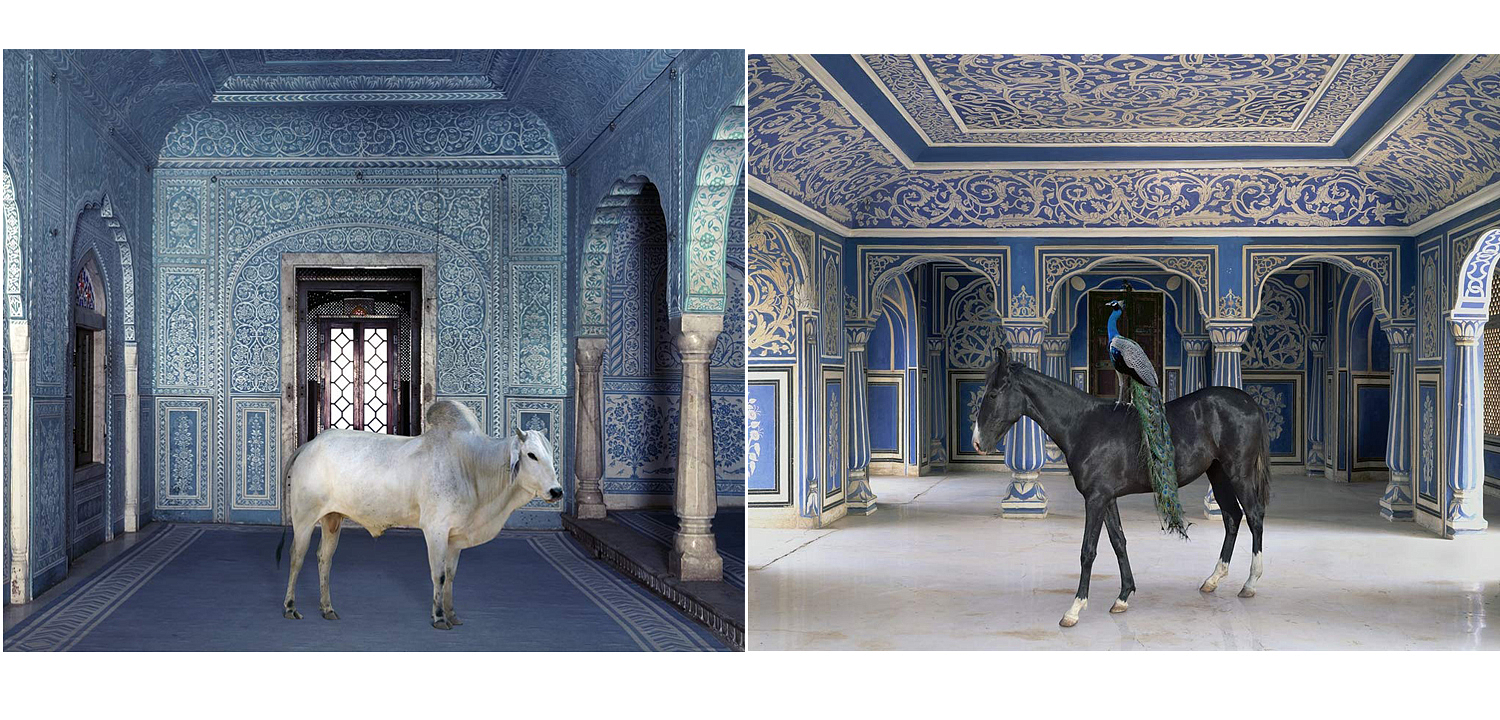 Книга KAREN KNORR INDIA SONG Книга KAREN KNORR INDIA SONG - Loft-Concept в Рязани