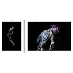 Монография художника Tavares Strachan - There is Light Somewhere варинант исполнения - 6 | Loft Concept в Рязани