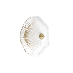 Бра в форме прозрачного стеклянного цветка с рельефной текстурой Textured Glass варинант исполнения - 7 | Loft Concept в Рязани