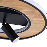 Потолочный светильник круглый GAVIN WOOD варинант исполнения - 2 | Loft Concept в Рязани