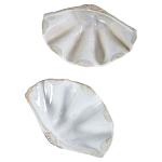 Фигурка из фарфора в виде одной створки ракушки Marine Tridacna варинант исполнения - 3 | Loft Concept в Рязани