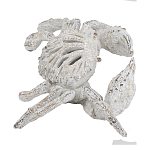 Статуэтка краб с детализированной текстурой в белом цвете Marine Accessories варинант исполнения - 4 | Loft Concept в Рязани