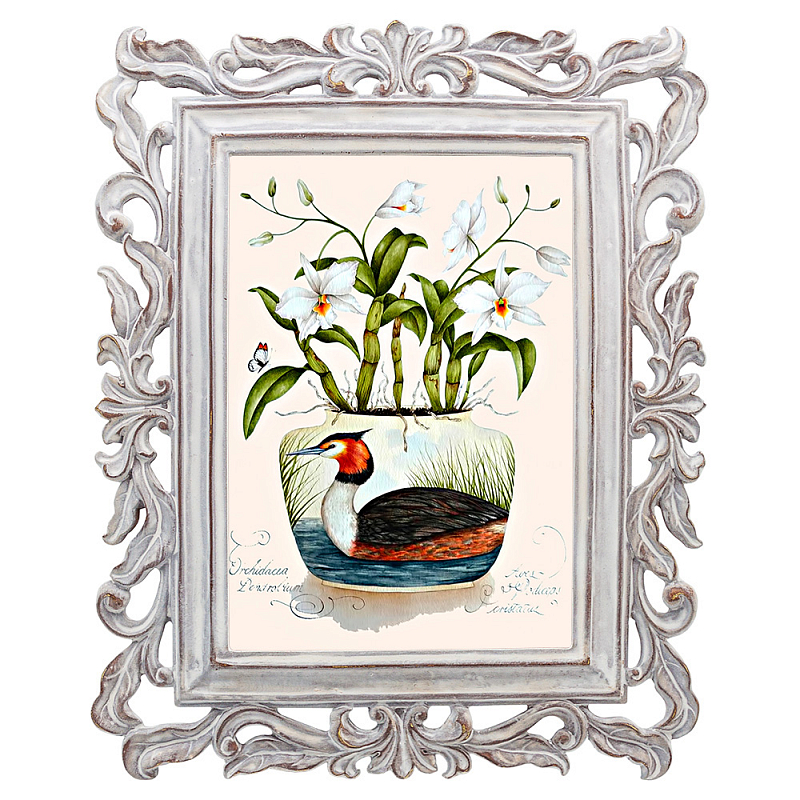 Постер Tropical Orchid Poster Мульти Белый винтажная патина Постер Tropical Orchid Poster Мульти Белый винтажная патина в Рязани | Loft Concept