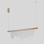 Люстра подвесная с пятью прозрачными элементами в форме лепестков и золотистым металлическим основанием DALI Tonin Casa варинант исполнения - 2 | Loft Concept в Рязани