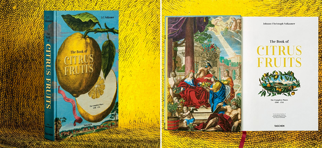 Volkamer Citrus Fruits Volkamer Citrus Fruits - Loft-Concept в Рязани
