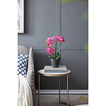 Декоративный искусственное растение Pink orchid варинант исполнения - 8 | Loft Concept в Рязани