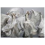 Alexander McQueen: Savage Beauty варинант исполнения - 2 | Loft Concept в Рязани