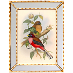 Постер с изображением птиц и цветов в зеркальной раме Blooming Birds Poster варинант исполнения - 7 | Loft Concept в Рязани