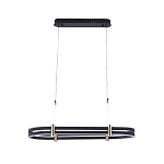 Люстра светодиодная в форме овала из акрила и алюминия с пультом для регулировки света Ring Horizontal Anthracite варинант исполнения - 1 | Loft Concept в Рязани