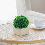 Декоративный искусственное растение Square boxwood варинант исполнения - 6 | Loft Concept в Рязани