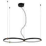 Люстра подвесная светодиодная черный металл Ring Horizontal варинант исполнения - 9 | Loft Concept в Рязани