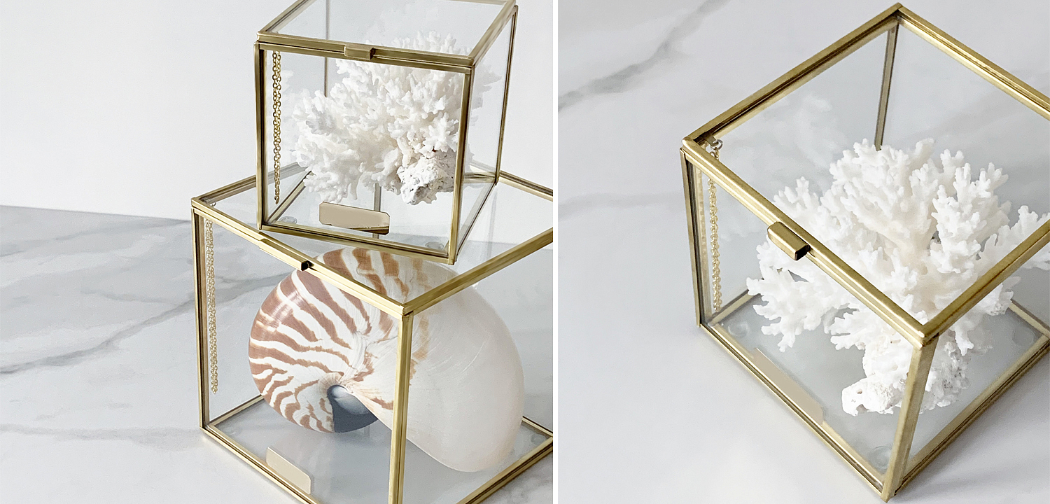 Статуэтка Natural Coral Glass Box S Статуэтка Natural Coral Glass Box S - Loft-Concept в Рязани
