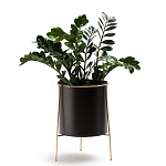 Кашпо из металла и латуни Elegance Elevated Planters черное варинант исполнения - 3 | Loft Concept в Рязани