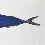 Плитка с узором Рыба пловчиха варинант исполнения - 6 | Loft Concept в Рязани