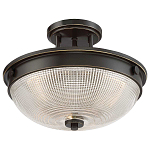 Потолочный светильник со стеклянным плафоном в виде купола Quoizel варинант исполнения - 8 | Loft Concept в Рязани