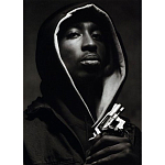 Подарочная книга величайший фотограф Альберт Уотсон The Vienna album Albert Watson варинант исполнения - 2 | Loft Concept в Рязани