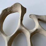 Блюдо «Бежевый коралл» варинант исполнения - 3 | Loft Concept в Рязани