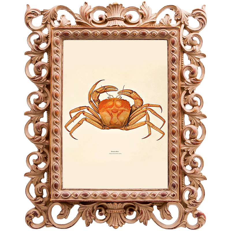 Постер Ocher Crab Poster Бежевый Оранжевый Постер Ocher Crab Poster Бежевый Оранжевый в Рязани | Loft Concept