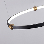 Люстра подвесная светодиодная черный металл Ring Horizontal варинант исполнения - 10 | Loft Concept в Рязани
