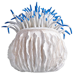 Статуэтка тропический фрукт Tropical Fruit White Blue варинант исполнения - 3 | Loft Concept в Рязани