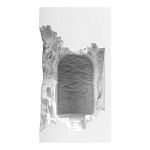 Встраиваемый в стену гипсовый светильник под покраску с эффектом разрушенной стены Antiquity Athena варинант исполнения - 2 | Loft Concept в Рязани