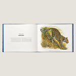 Лимитированная подарочная книга HERMES Fierce and Fragile book, English version варинант исполнения - 3 | Loft Concept в Рязани