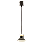 Подвесной светильник Celevis Black варинант исполнения - 2 | Loft Concept в Рязани