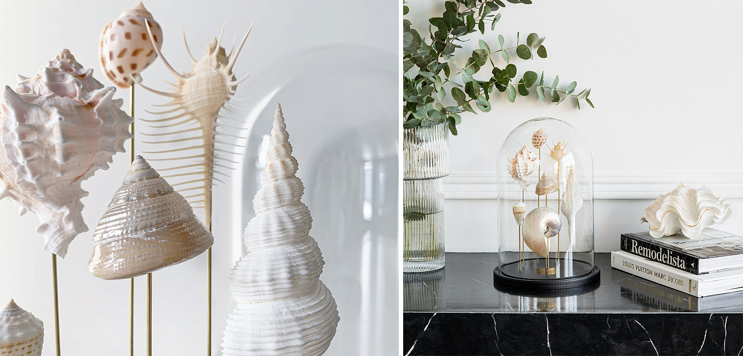 Статуэтка Shell Collection Glass Cloche 1 Статуэтка Shell Collection Glass Cloche 1 - Loft-Concept в Рязани