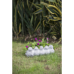 Кашпо Canaries варинант исполнения - 6 | Loft Concept в Рязани