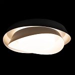 Потолочный светильник круглый черного цвета из металла Vita Cuna варинант исполнения - 1 | Loft Concept в Рязани