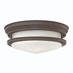 Потолочный светильник для ванных комнат со стеклянным плафоном в форме перевернутого конуса Hinkley варинант исполнения - 21 | Loft Concept в Рязани