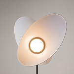 Напольный светильник Evolution 3000К 12Вт варинант исполнения - 5 | Loft Concept в Рязани