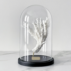 Статуэтка Natural Coral Branch Glass Cloche