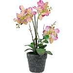 Декоративный искусственное растение Pink orchid варинант исполнения - 5 | Loft Concept в Рязани